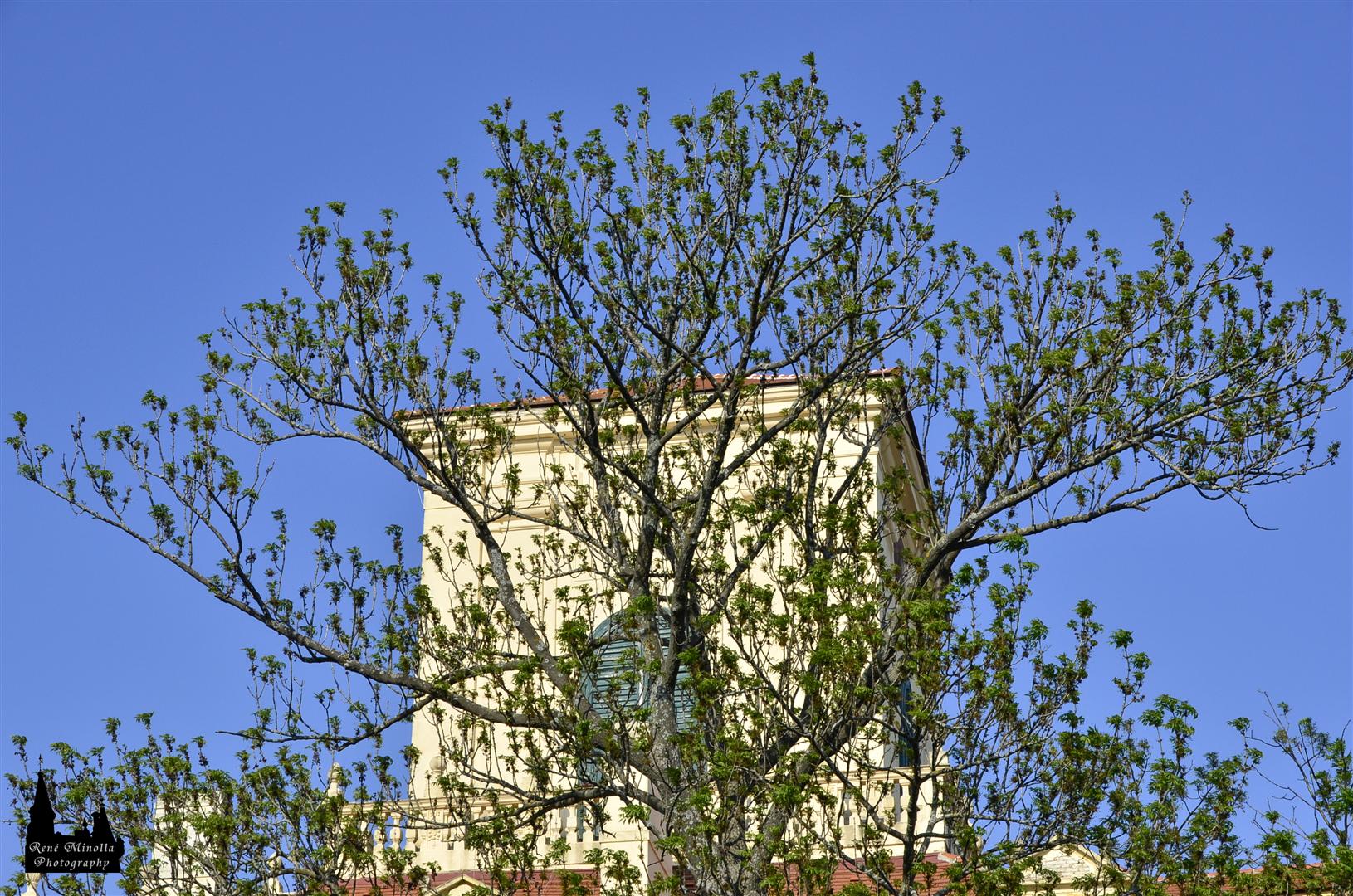 Wien  1528b